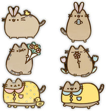 Load image into Gallery viewer, Pusheen Blind Box Spring Enamel Pin CultureFly
