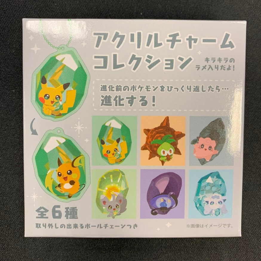 Pokemon Mystery Keychain Shinka No Ishi Reverible Blind Box