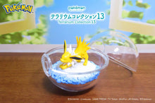 Load image into Gallery viewer, Pokemon Blind Box Terrarium Collection Vol. 13 Re-Ment
