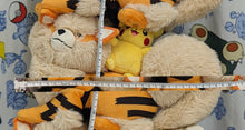 Load image into Gallery viewer, Pokemon Center Arcanine and Pikachu Okinawa Exclusive 1 Year Anniversary Plush
