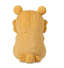 Load image into Gallery viewer, Pokemon Plush Bidoof Comfy Friends Pokemon Center
