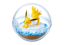 Load image into Gallery viewer, Pokemon Blind Box Terrarium Collection Vol. 13 Re-Ment

